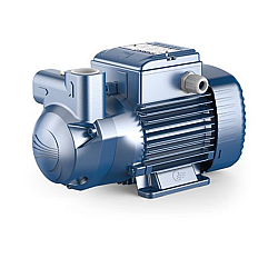 CKM50BP 0.25Kw 1 Phase Self Priming Liquid Ring Pumps Pedrollo