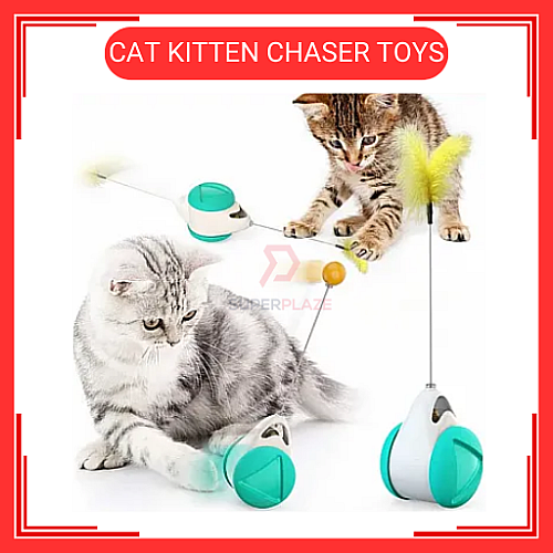 Cat Kitten Chaser Toys with Feather Catnip Ball Tumbler Balanced Exercise Wheel Chasing Hunting Playing