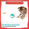 Cat Kitten Chaser Toys with Feather Catnip Ball Tumbler Balanced Exercise Wheel Chasing Hunting Playing