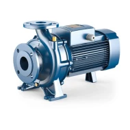 F50125A 4Kw 3 Phase Centrifugal Pump With Energy Saving IE3 Motor Pedrollo