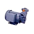 GO0525N 0.5Hp 240V Cascade Pump GO Series Showfou