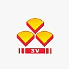 3V