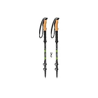 HIKING STICKS