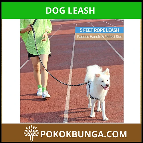 Dog Leash Premium Quality Pink Color 