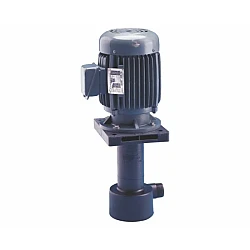 PE332N 3Hp 415V Dry Free Vertical Sealless Pump Showfou