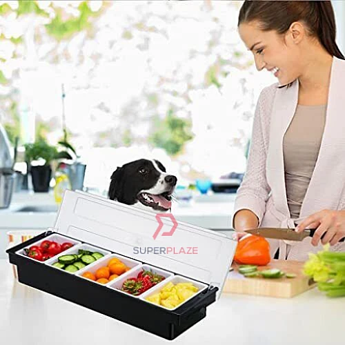5 Compartments Pints PP Plastic Condiment Holder Seasoning Dispenser