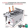 8 Liters Single Stove Gas Multifunctional Cooker Gas Ventilation Deep Noodle Cooker