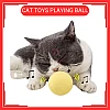 Yellow Colour Catnip Cat Toys Playing Ball with Animal Sound Bola Mainan Kucing Warna Kuning