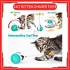 Cat Kitten Chaser Toys with Feather Catnip Ball Tumbler Balanced Exercise Wheel Chasing Hunting Playing