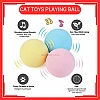 Pink Colour Catnip Cat Toys Playing Ball with Animal Sound Bola Mainan Kucing Warna Pink