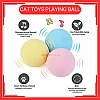 Blue Colour Catnip Cat Toys Playing Ball with Animal Sound Bola Mainan Kucing Warna Biru
